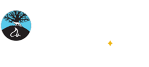 Foxwoods Casino Logo White